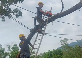 Heroes in hard hats: MeECL linesmen defy cyclone Remal’s fury to illuminate Meghalaya