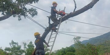 Heroes in hard hats: MeECL linesmen defy cyclone Remal’s fury to illuminate Meghalaya