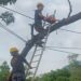 Heroes in hard hats: MeECL linesmen defy cyclone Remal’s fury to illuminate Meghalaya