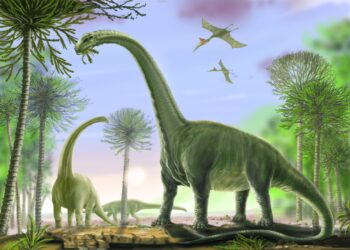 72-million-year-old dinosaur teeth unearthed in Meghalaya’s South West Khasi Hills