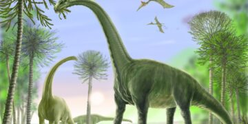 72-million-year-old dinosaur teeth unearthed in Meghalaya’s South West Khasi Hills