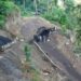Landslide at illegal Assam coal mine: Ri Bhoi families arrive at site to retrieve miners’ bodies