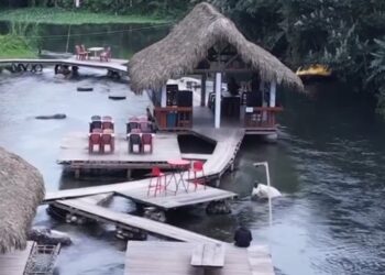 Find your slice of paradise at stunning Tongtao Resort in Arunachal