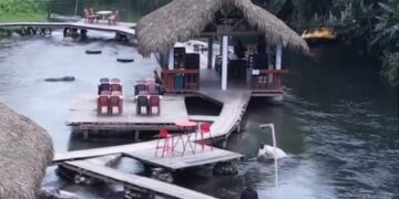 Find your slice of paradise at stunning Tongtao Resort in Arunachal