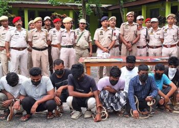 Assam Police bust major cybercrime ring in Morigaon, arrest 10 for financial fraud