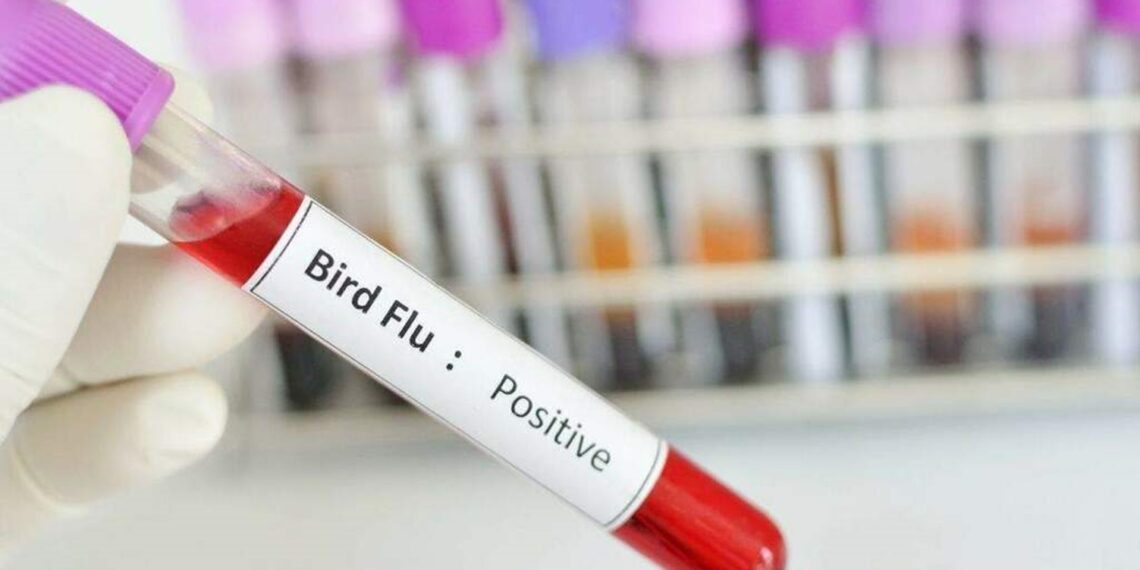 First H9N2 bird flu case detected in Indian 4-yr-old since 2019; WHO monitors situation