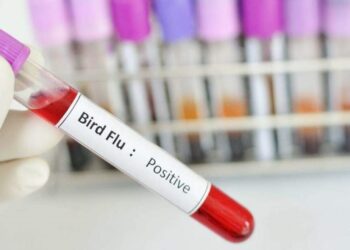 First H9N2 bird flu case detected in Indian 4-yr-old since 2019; WHO monitors situation