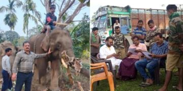 Activist sounds alarm on elephant trade to Kerala; warns of repeat offender in Northeast