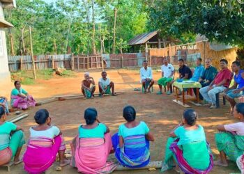 Solar fence in remote Meghalaya village key tool for protection from elephants