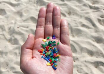 Can sustainable strategies quell India’s microplastics problem?