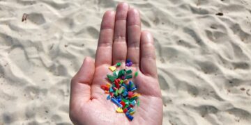 Can sustainable strategies quell India’s microplastics problem?