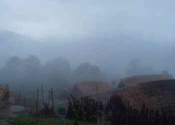 Once plagued by opium addiction, this Nagaland village now embraces education