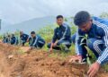 NIMAS celebrates World Environment Day by planting 500 saplings in Arunachal’s Dirang
