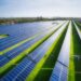 Assam to produce 3,000 MW of solar-power by 2030, claims Himanta Biswa Sarma