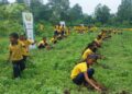 Territorial Army marks World Environment Day with mass plantation drive in Assam’s Sonitpur