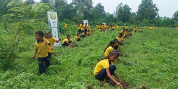 Territorial Army marks World Environment Day with mass plantation drive in Assam’s Sonitpur