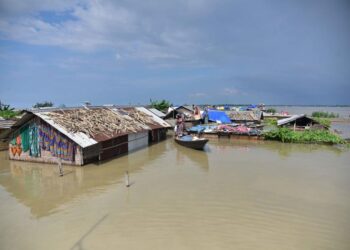 Assam floods fury: Death toll touches 84; wildlife fatalities in Kaziranga stand at 159