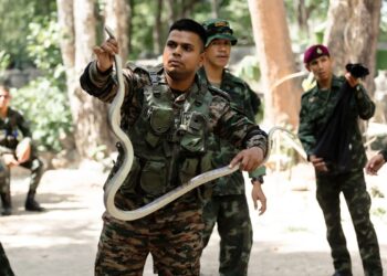 India-Thailand military exercise ‘Maitree’ in full swing, focuses on seamless expertise integration