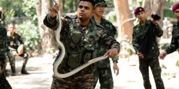 India-Thailand military exercise ‘Maitree’ in full swing, focuses on seamless expertise integration