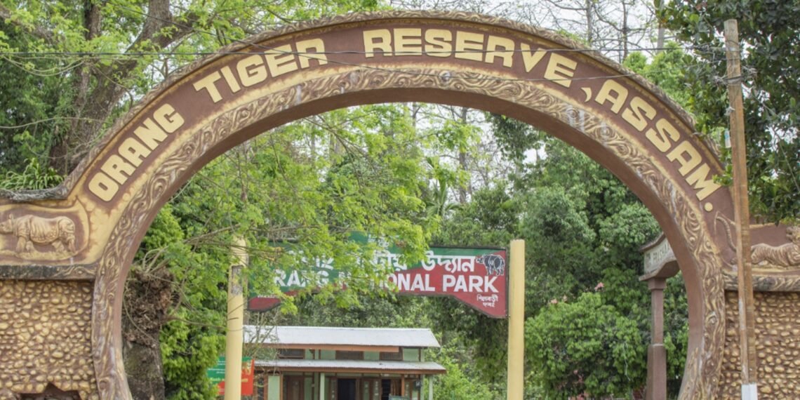Decomposed carcass of Royal Bengal Tiger found in Orang; Kaziranga wildlife toll touches 137