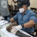 Aaranyak’s Wildlife Genetics Laboratory celebrates decade of DNA forensic service in NE