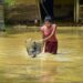 assam flood