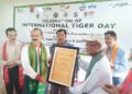 International tiger day