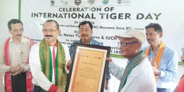 International tiger day
