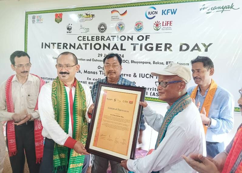 International tiger day