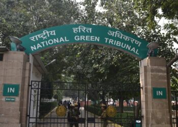 Assam: National Green Tribunal takes suo motu cognizance of Kaziranga hotel project