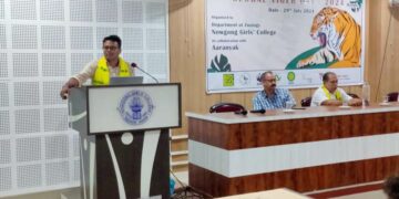 international tiger day