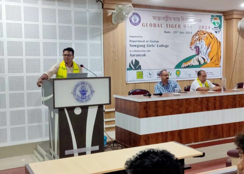 international tiger day