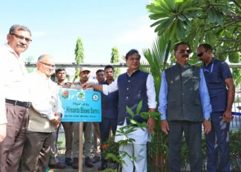 himanta plantation drive