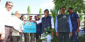 himanta plantation drive