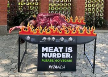 peta india