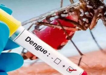 Dengue
