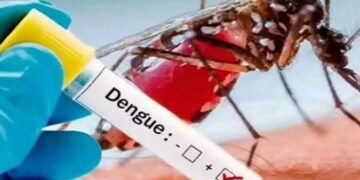 Dengue