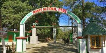 manas national park