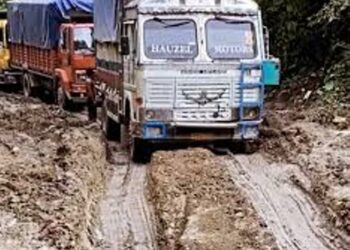 mizoram truck