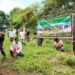 Assam: Territorial Army plants 10,000 fruit-bearing trees in Sonitpur district as part of green initiative