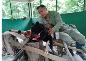 Assam’s Dr Panjit Basumatary conferred with ‘Animal Welfare Field Veterinary Award’