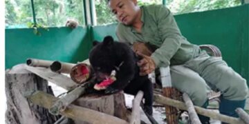 Assam’s Dr Panjit Basumatary conferred with ‘Animal Welfare Field Veterinary Award’