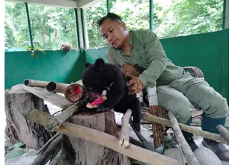 Assam’s Dr Panjit Basumatary conferred with ‘Animal Welfare Field Veterinary Award’