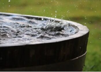 Rainwater harvesting