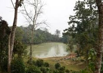 Manipur: Rongmei Naga Council opposes oil exploration in Zeilad Wildlife Sanctuary