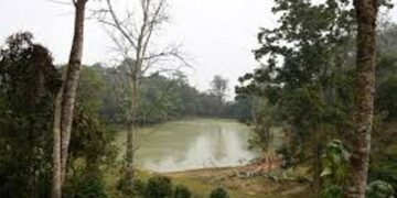 Manipur: Rongmei Naga Council opposes oil exploration in Zeilad Wildlife Sanctuary