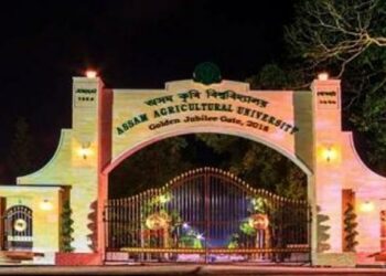 Assam Agricultural University develops new high-yield mustard greens and chilli varieties