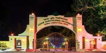 Assam Agricultural University develops new high-yield mustard greens and chilli varieties