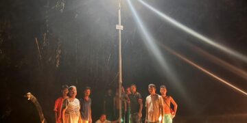 Assam: Aaranyak installs 30 solar streetlights to mitigate human-elephant conflict