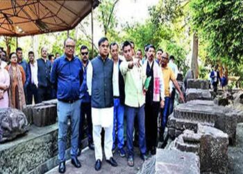 Assam govt to preserve & develop Deopahar archaeological site in Golaghat district
